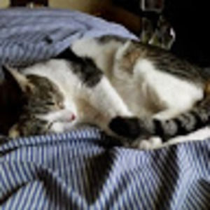 Meet your Posher, Oliver